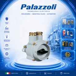 232627 NAVE UNAV 2162 WATERTIGHT ROTARY CONTROL SWITCH IN BRASS ENCLOSURE PALAZZOLI VIETNAM