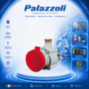 478213 NAVE WATERTIGHT WALL-MOUNTING SOCKET-OUTLET UNAV 2166 PALAZZOLI VIETNAM