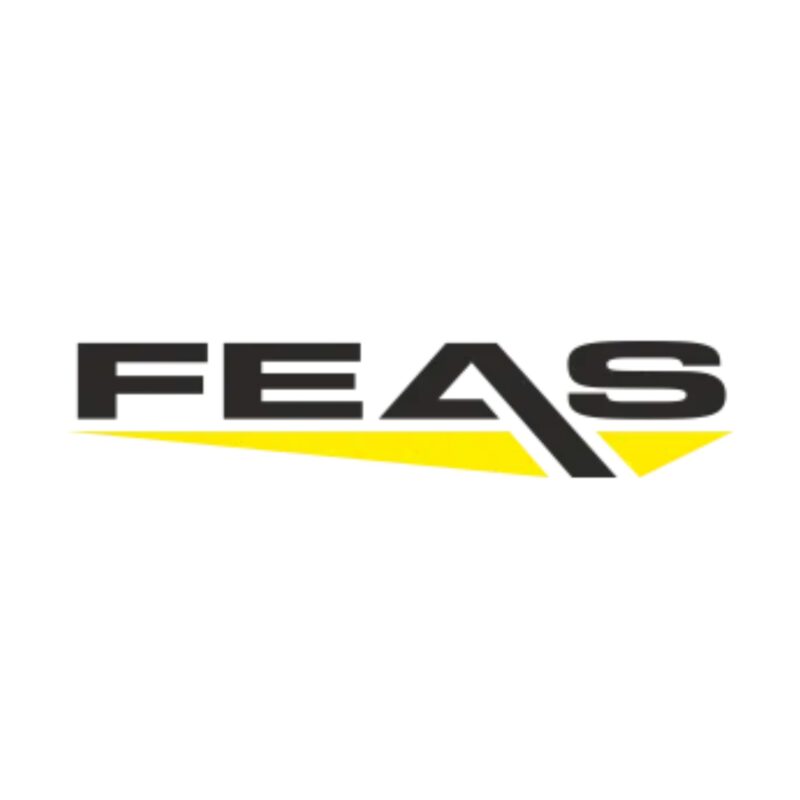 FEAS GmbH
